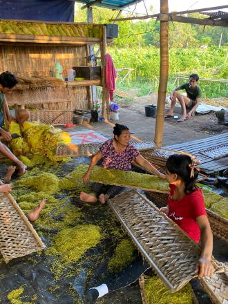 Penguatan Ekonomi Lokal Melalui Produk Tembakau Tradisional di Desa Patemon 